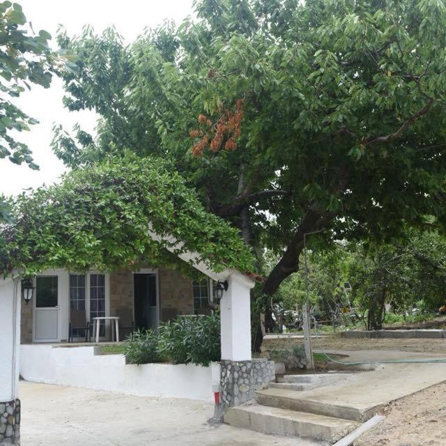 Villa Leonidas Koutsoupia Kókkinon Nerón Exteriör bild